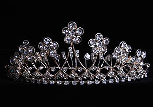 Wildflower Tiara